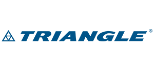 Triangle-Logo